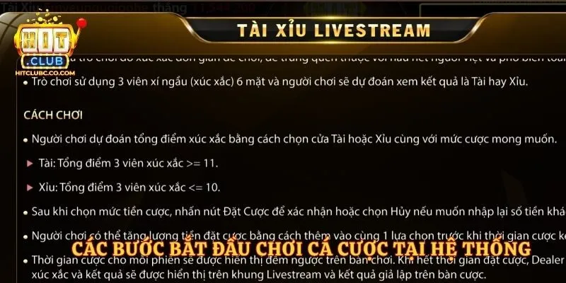 Các bước bắt đầu chơi cá cược tại hệ thống