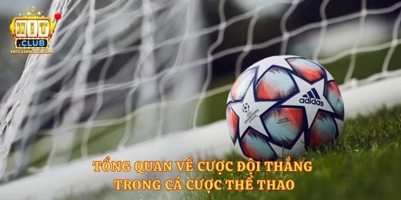 Tổng quan về cược đội thắng trong cá cược thể thao